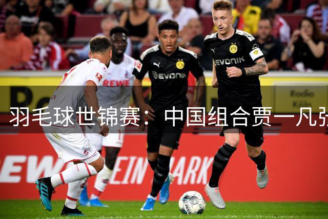 羽毛球世锦赛：中国组合贾一凡/张殊贤止步女双八强